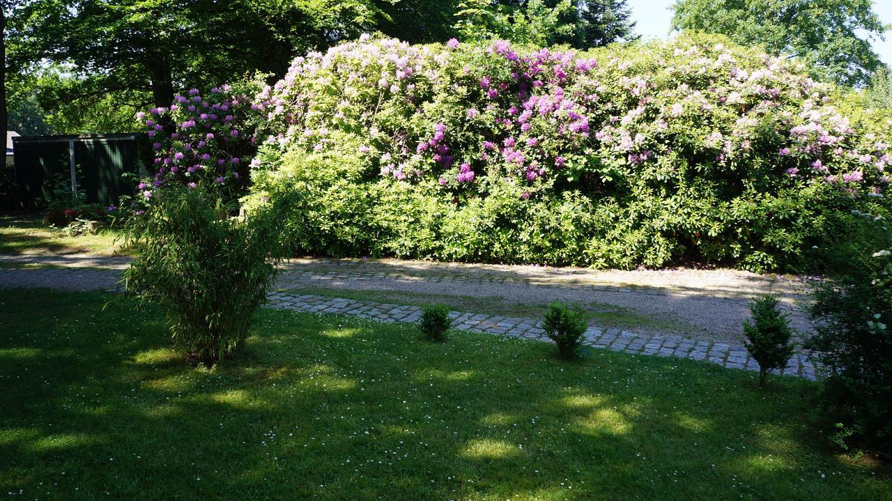 Exklusive Ferienwohnung Zwischen Uni Und Altstadt Luneburg Ngoại thất bức ảnh